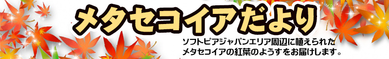 バナー