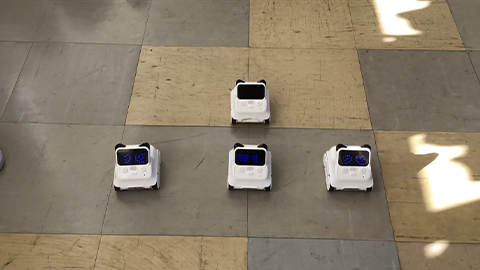 バラバラはらはら