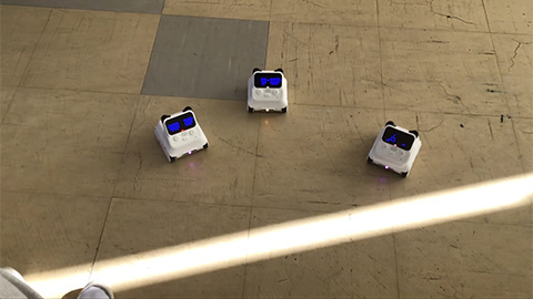 くるくるパラダイス