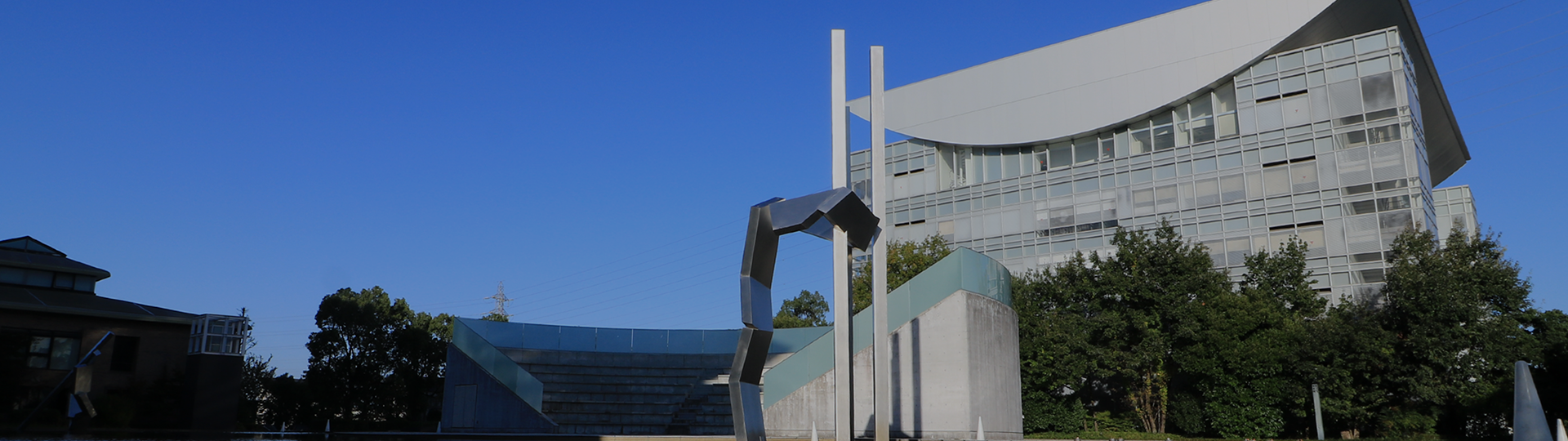 ID 516 アイキャッチ