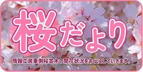 バナー01